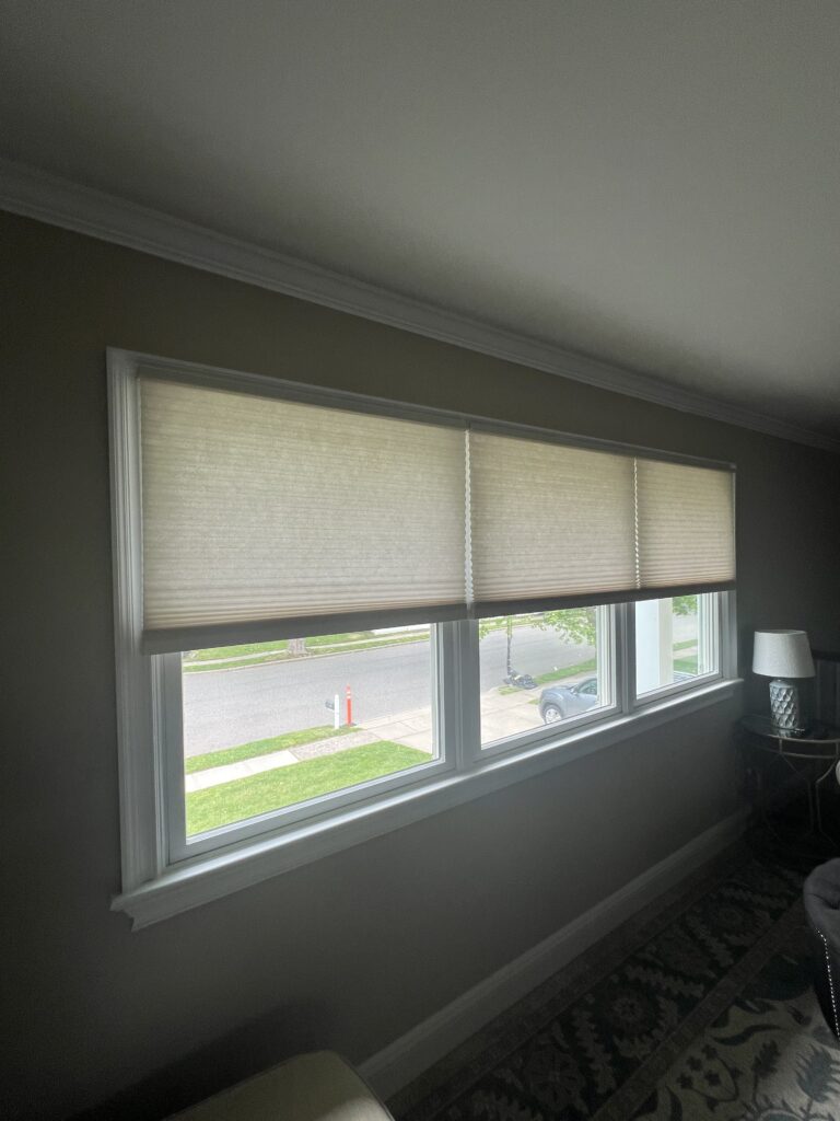 Long Horizontal Blinds