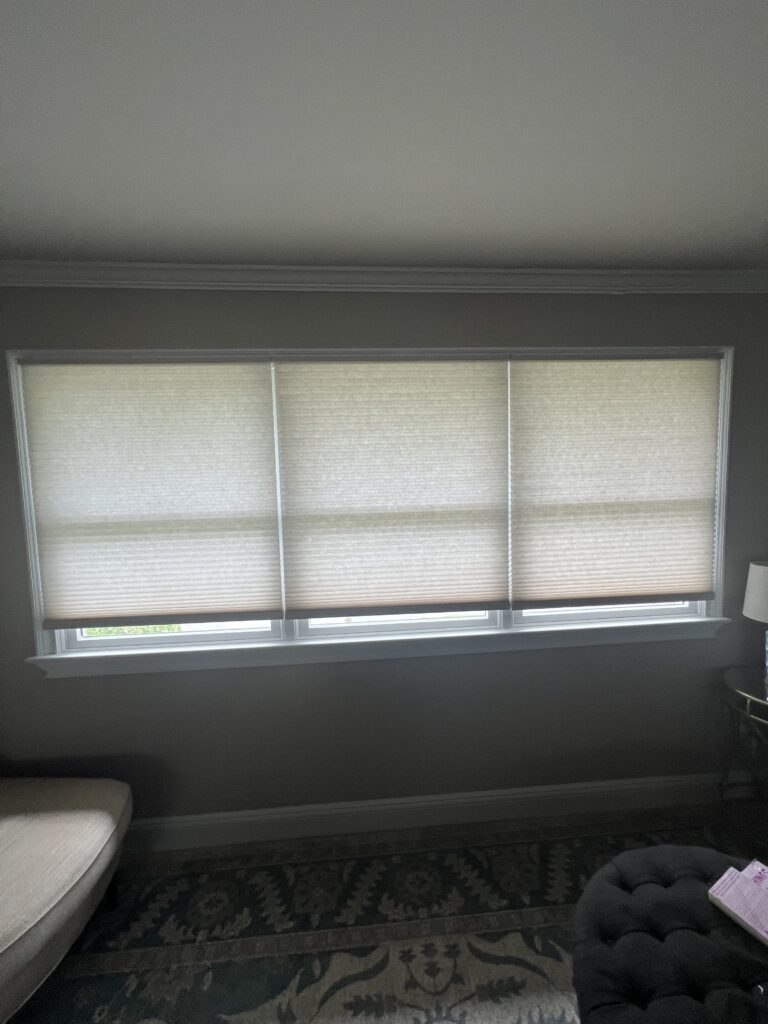 Horizontal Blinds