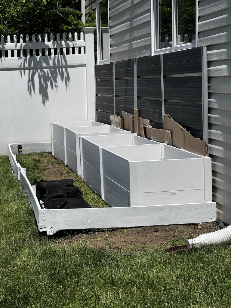 Garden Bed During