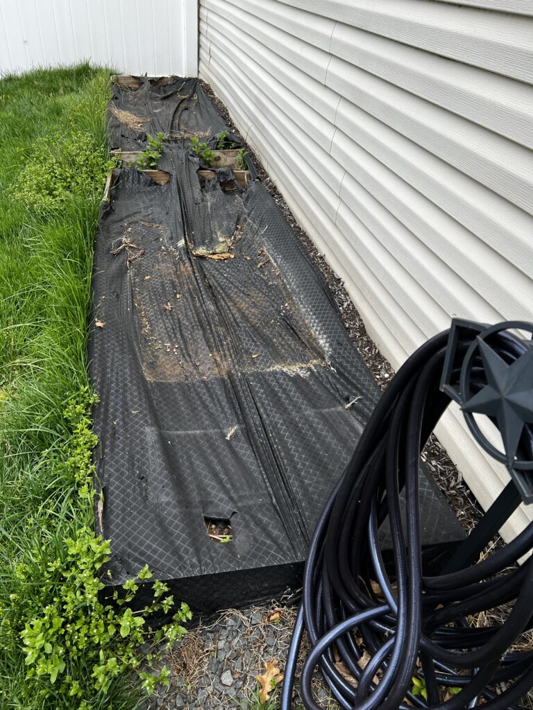 Garden Bed Before
