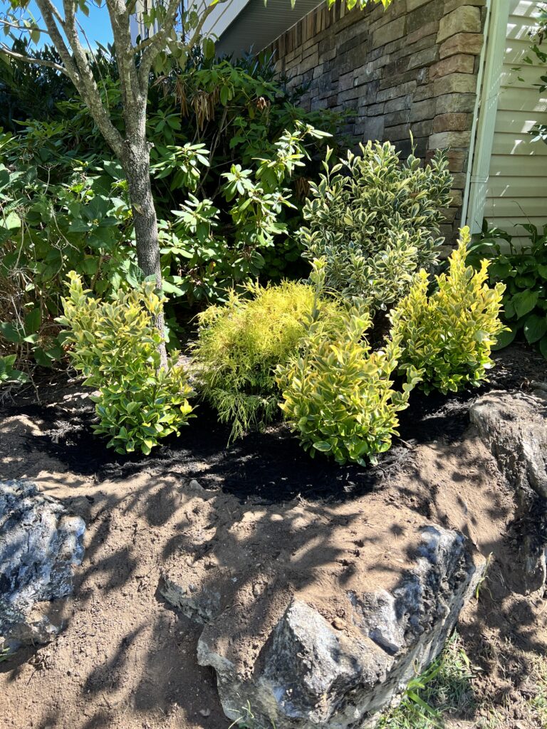 Garden After