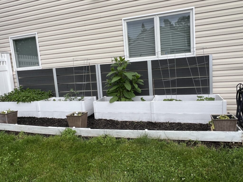 Garden Bed After
