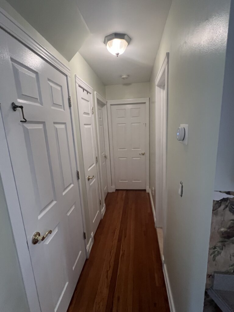 Painting and Carpentry After